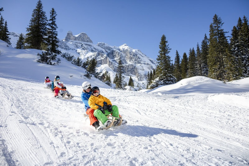 Rodelen in Gauertal