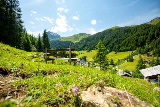 Wandelpad bij Gallenkirch in Montafon